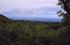 FourDirectionsPhotography > 22 Road to Hana 8-16-2004