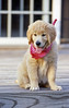 FourDirectionsPhotography > Kellogg's Slides photo